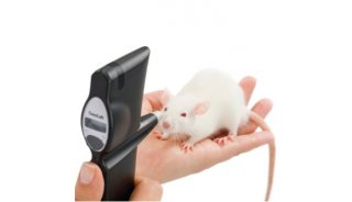 大鼠.小鼠眼压计，小动物眼压测量仪