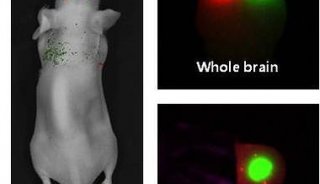 玉研仪器 荧光标记生物成像仪