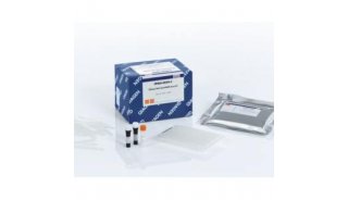 GeneRead DNA QuantiMIZE Kits 试剂盒