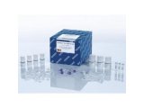 GeneRead Pure mRNA Kit试剂盒