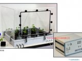 13CO2气体标记植物培养系统
