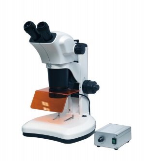 荧光体视显微镜 WYT-GTY