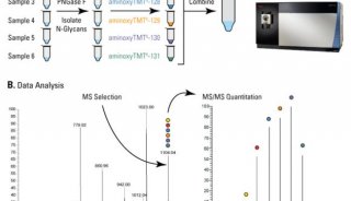 TMT标记定量蛋白质组学技术