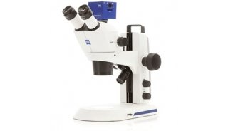  体视显微镜