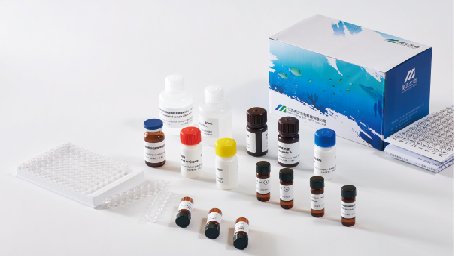 美正微囊/节球藻毒素(Microcystin，MC)ELISA检测试剂盒 适用水样