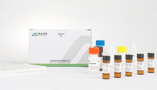 美正维生素B12（钴胺素）检测试剂盒 适用乳粉