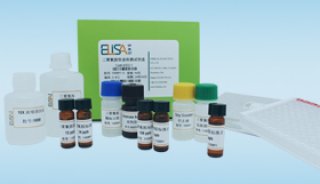 黄芪甲苷检测试剂盒 230101